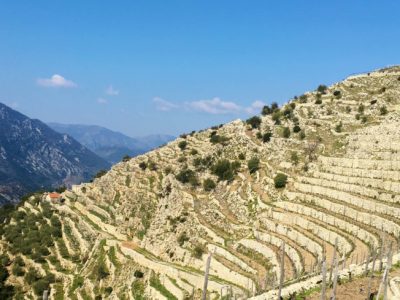 A Trincea Winery in Ventimiglia Italy