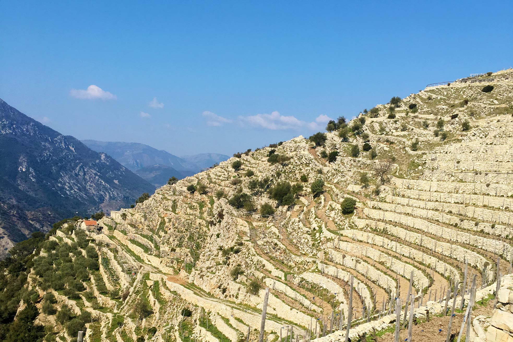 A Trincea Winery in Ventimiglia Italy