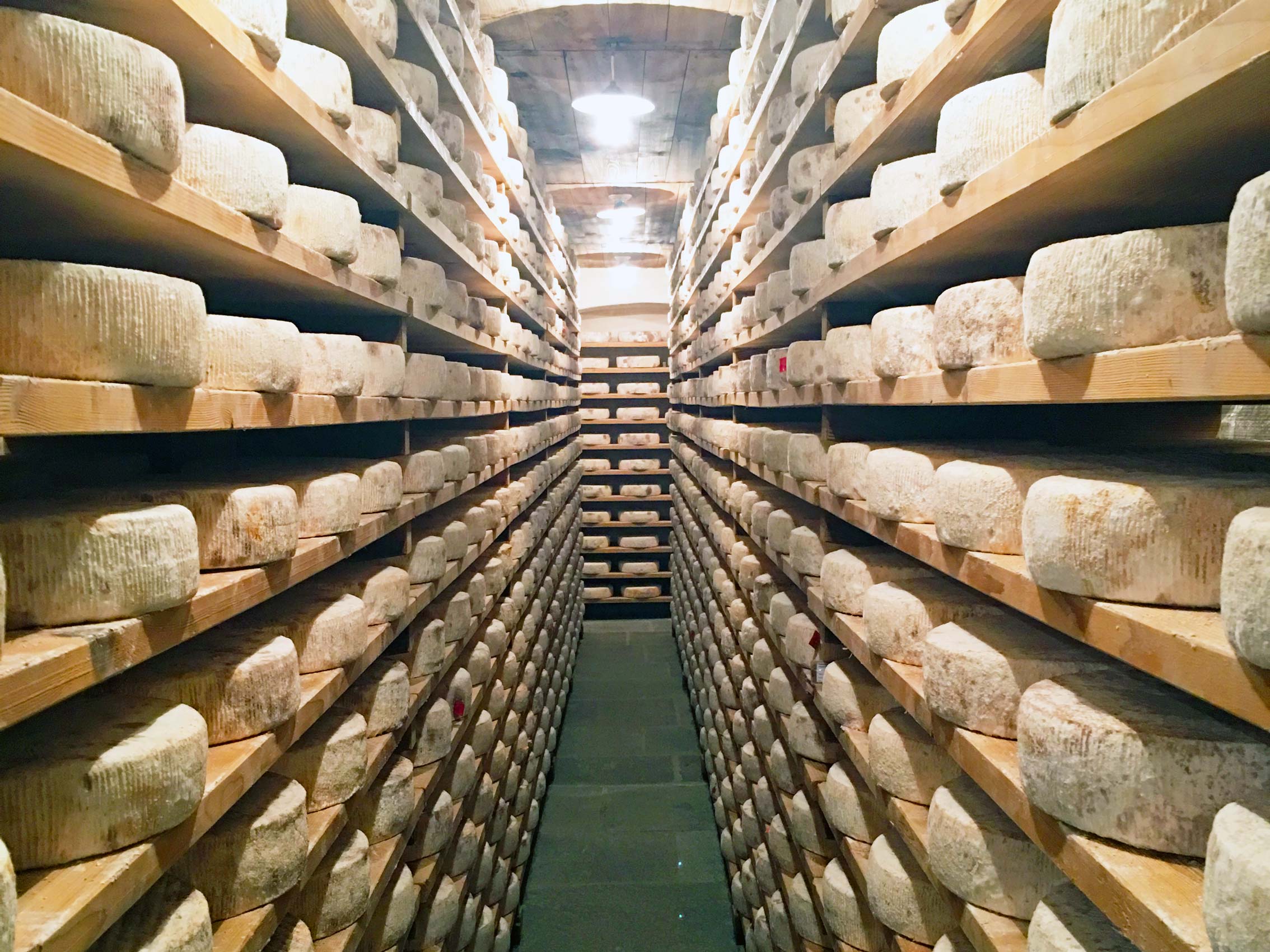 Cheese Factory Cave in Italy