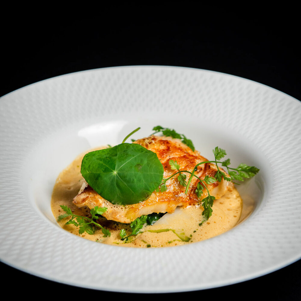 seared grouper on a white sauce