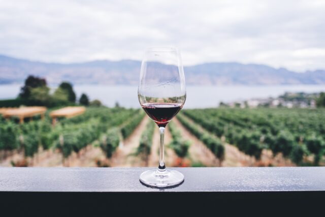 Wine glass overlooking vineyard