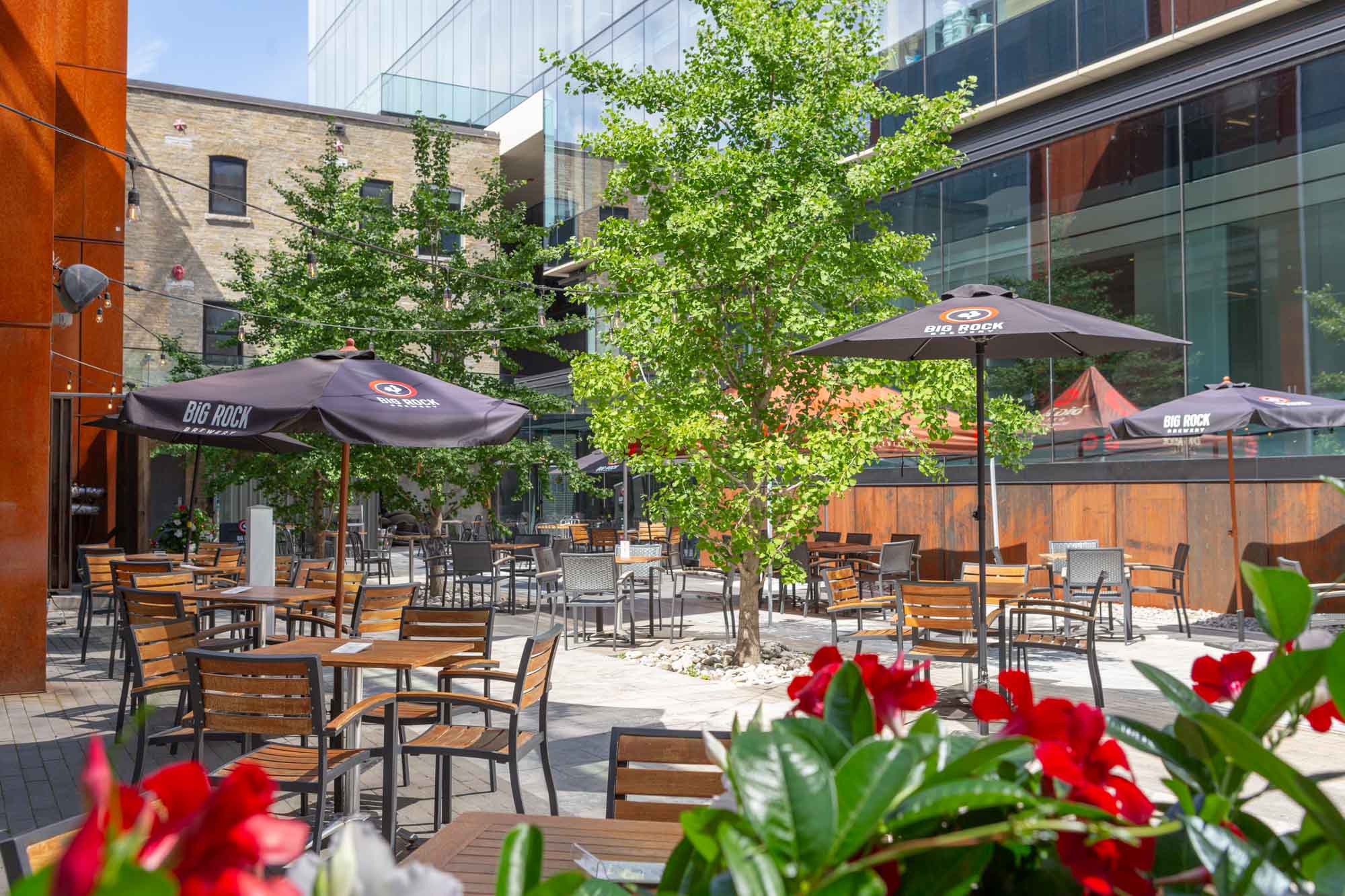 A large, sunny patio outside Liberty Commons flanked by red flowers.