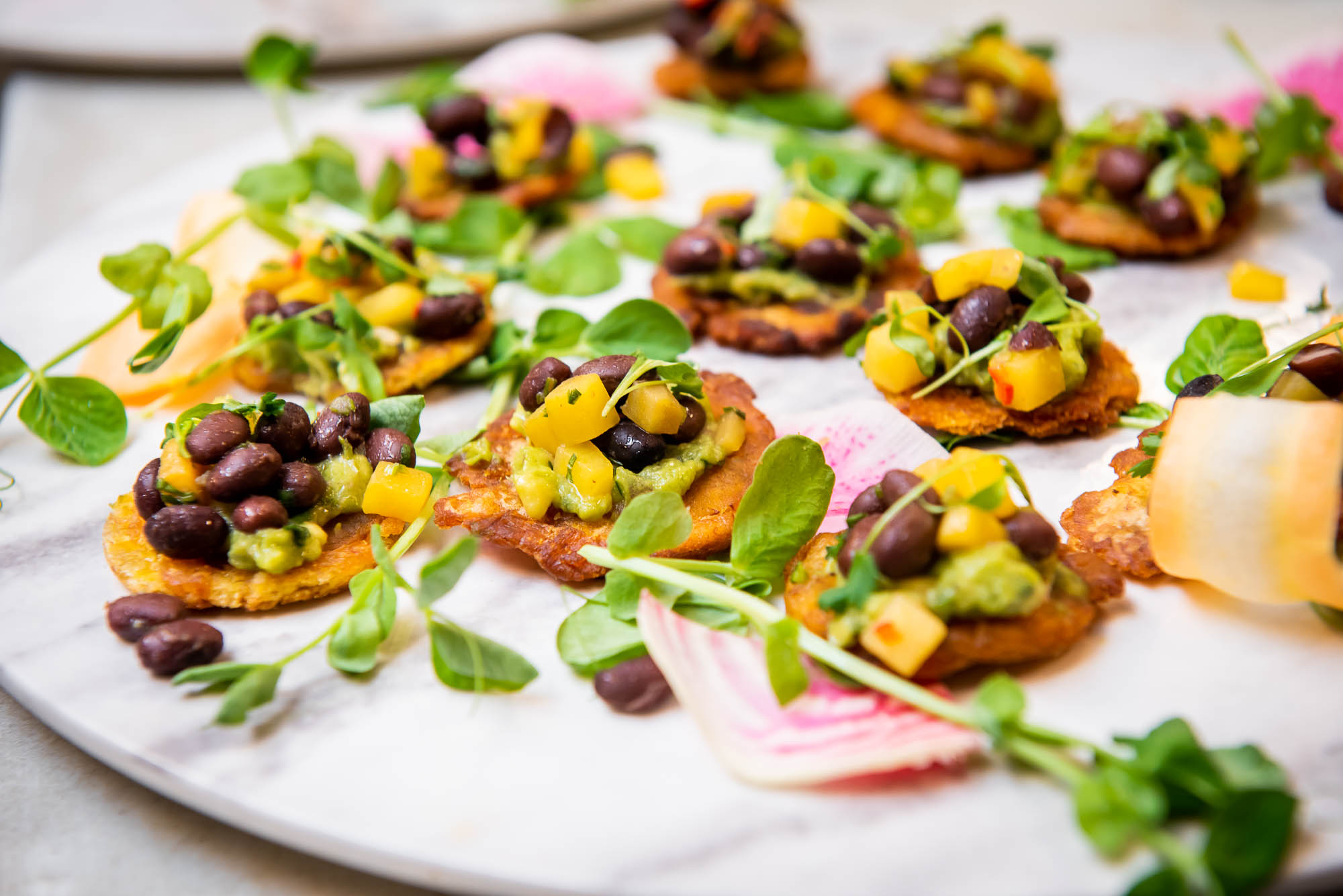 OB Catering medium shot beans, corn, avocado on crackers