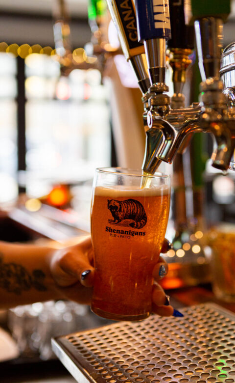 pint of beer being poured